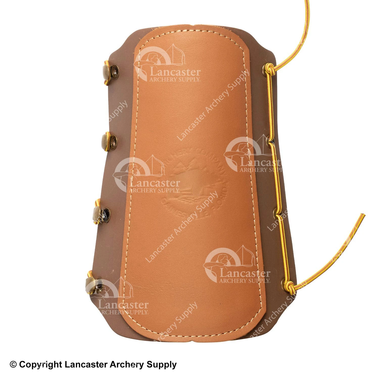 Bear Traditional Logo Arm Guard 1 Bear Traditional Logo Arm Guard